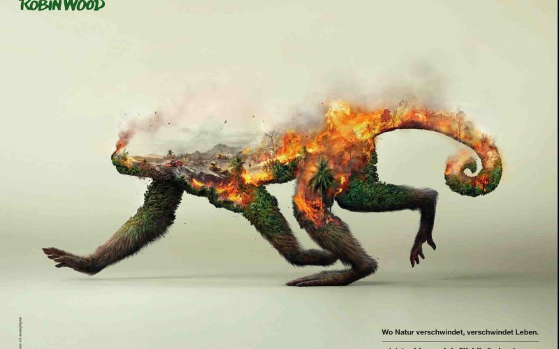 Posterreihe "Tiere verschwinden"