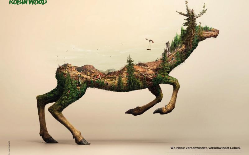 Reh Waldzerstörung Raubbau