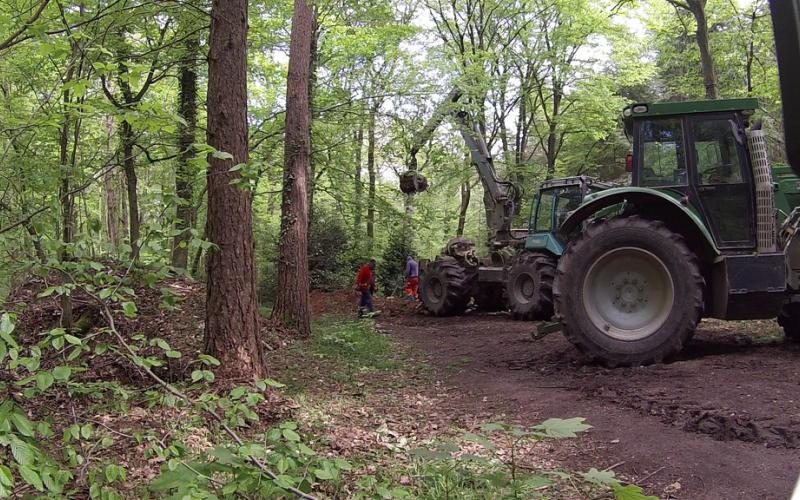 Rodung von Teilen des Hambacher Forsts