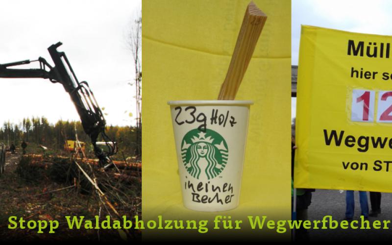 Collage Waldabholzung für Wegwerfbecher