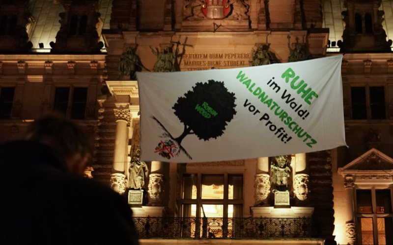 Kletterprotest auf dem Hamburger Rathausmarkt, 14.02.20