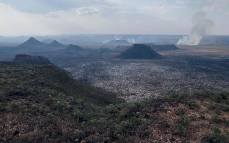 Jim Wickens/ Mighty Earth