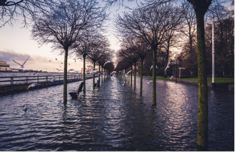 Tide is high (Foto: Takin Shotz)