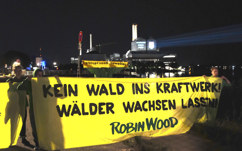 Menschen mit einem gelben Banner.Im Hintergrund ein Kraftwerk im Dunkeln. Ein Beamer projiziert einen Slogan darauf.