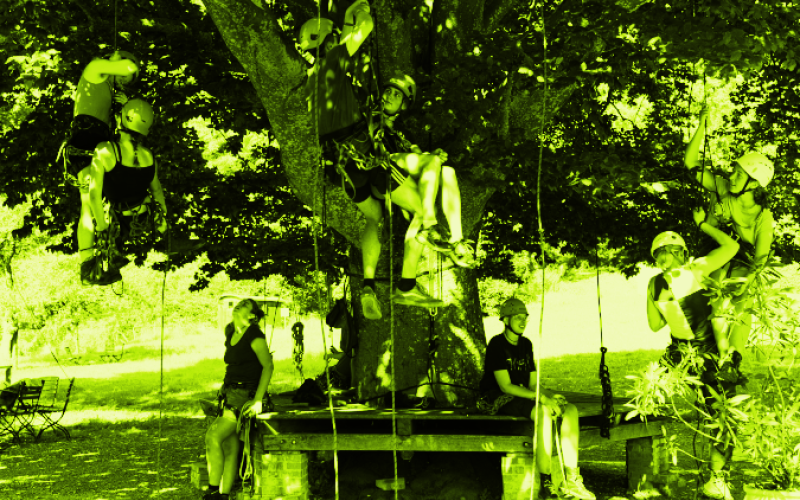 Foto verschiedener Kletter*innen beim Training am Baum