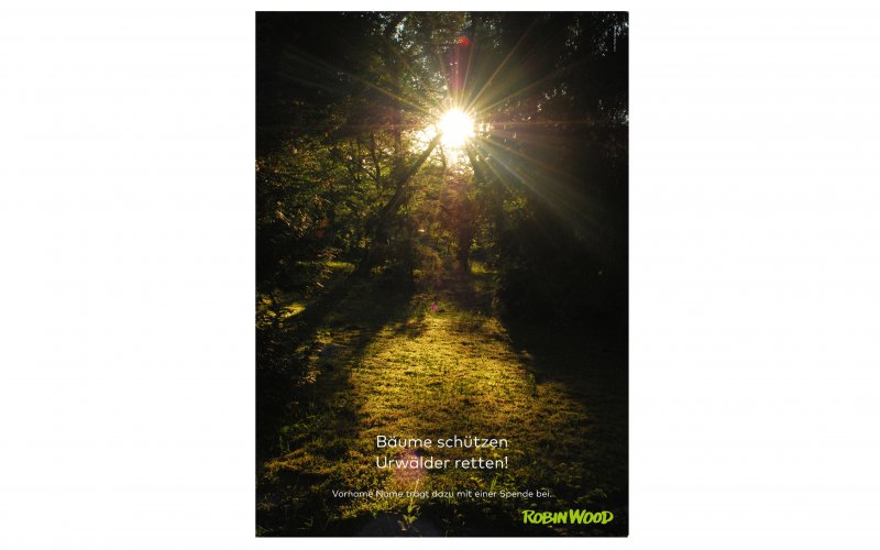 Ansicht Spendenurkunde Urwälder retten