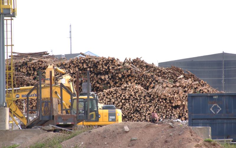 Kanada Nova Scotia, Foto: ecology action centre