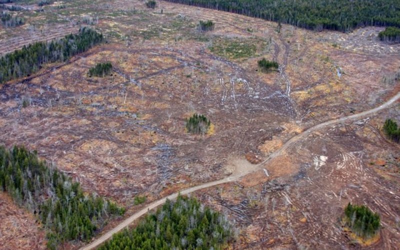 Kanada Nova Scotia, Foto: ecology action centre