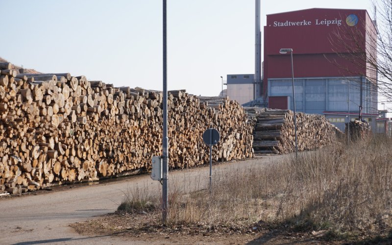 Große Holzpolter vor einem Holzkraftwerk