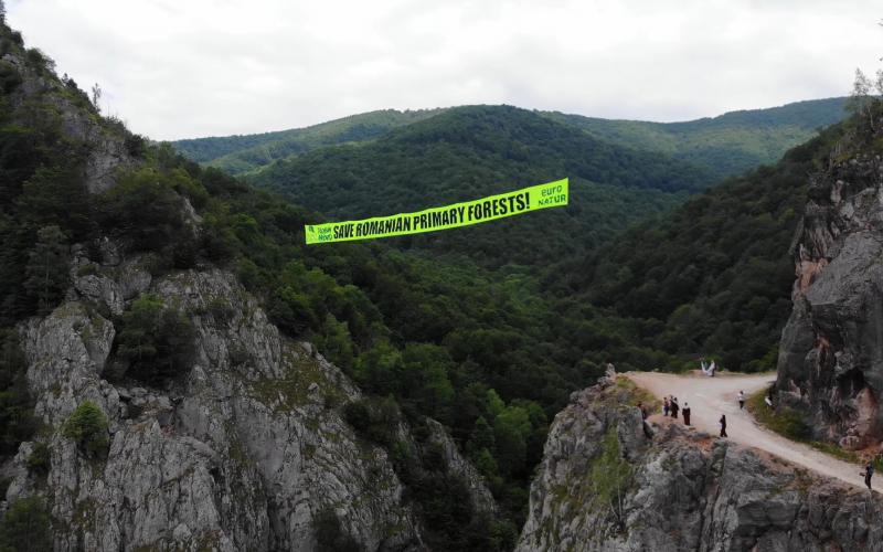 Foto: AgentGreen/ROBIN WOOD