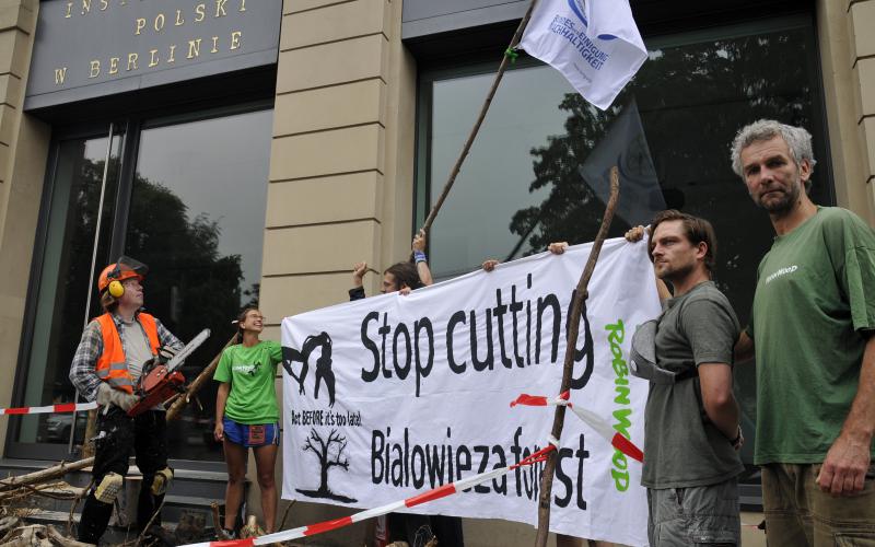 Berlin Protest Aktion zu Bialowieza Urwald