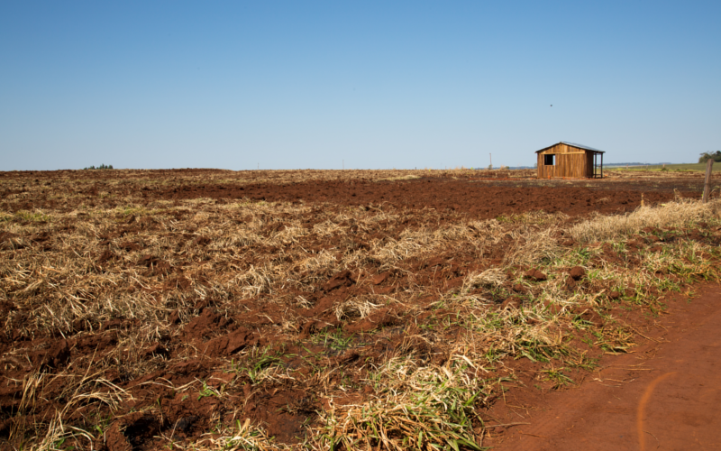 Jim Wickens/Ecostorm via Mighty Earth