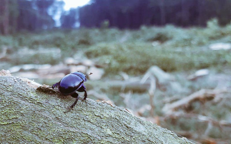 Alex Müller, Fotograf aus Stadt Allendorf