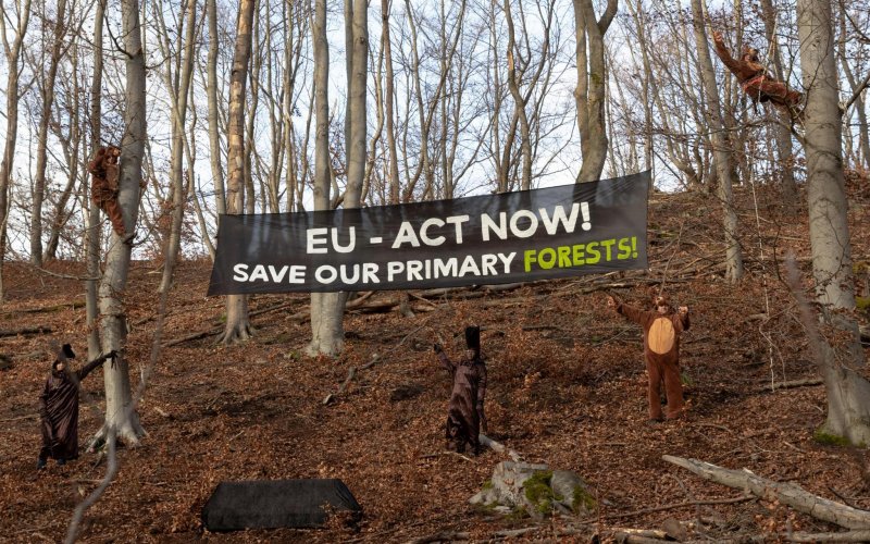 Menschen in Bären- und Baumkostümen vor einem Banner "EU - Act now! Save our Primary Forests!"