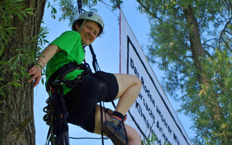 Foto für waldreport.de