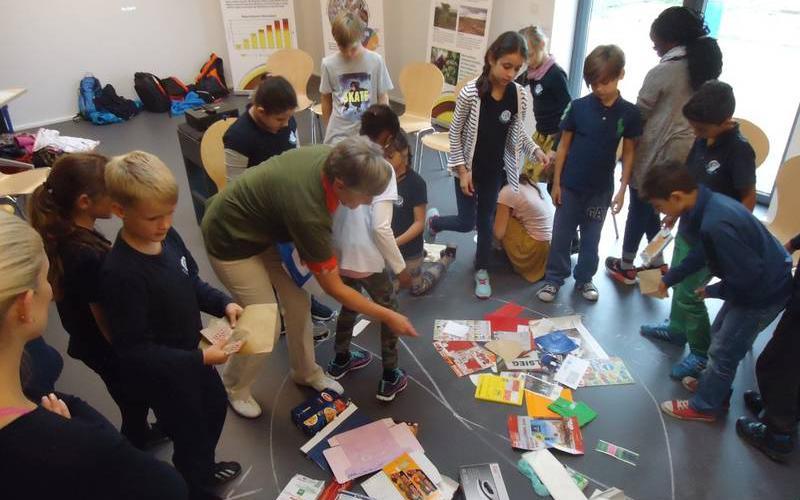 Bild
