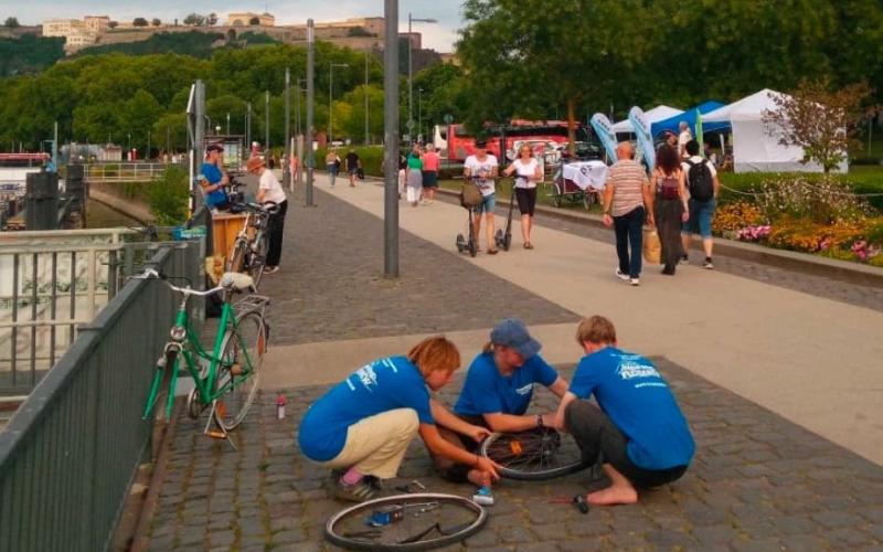 Bild