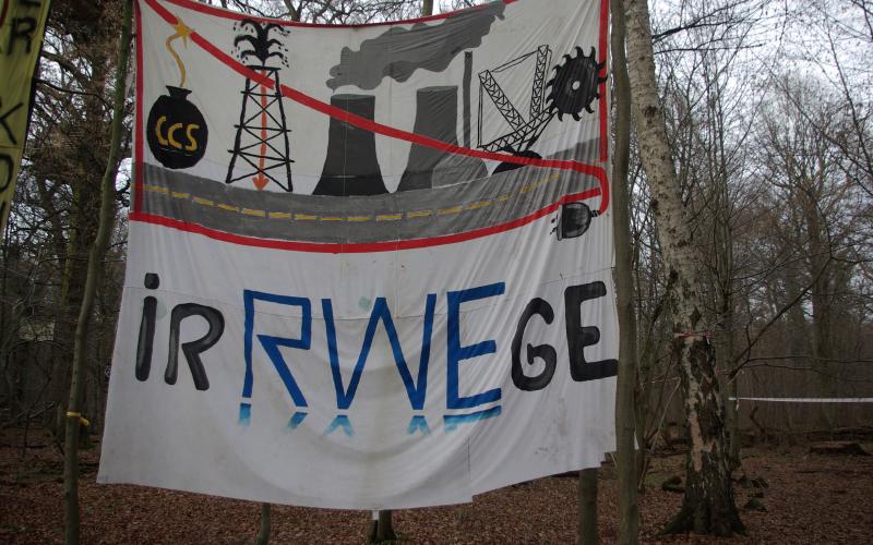 Hambacher Forst