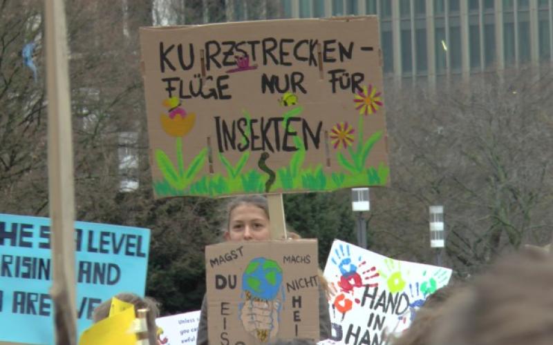 Bild