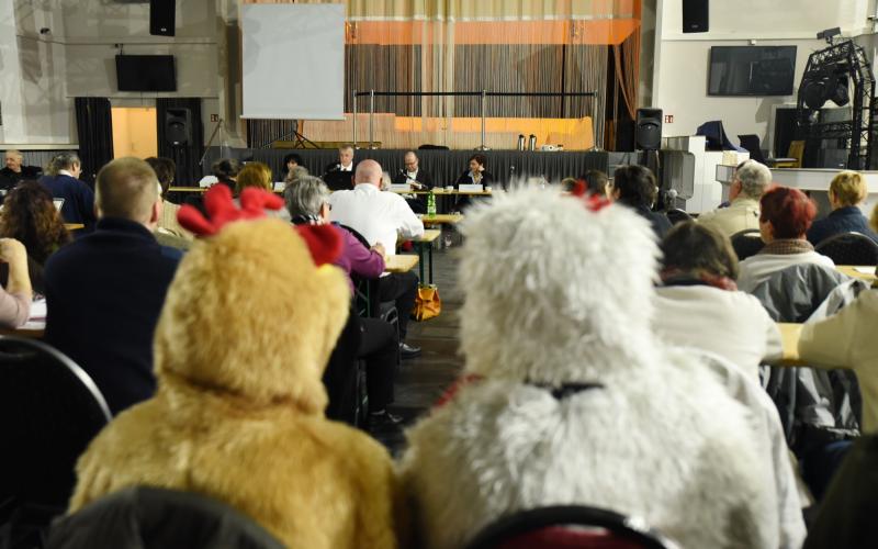 Bild