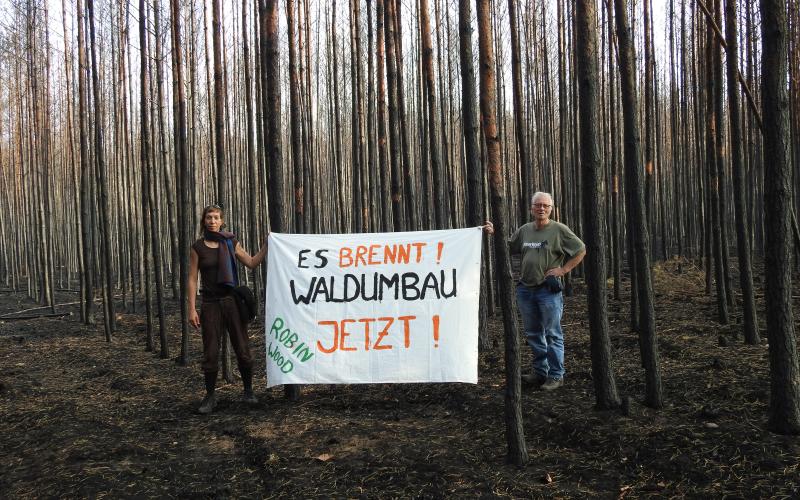 Bild