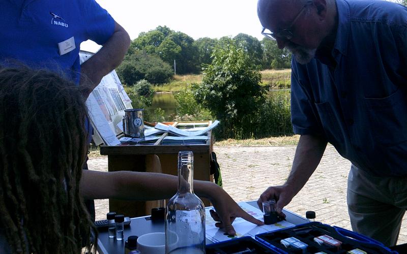 Bild