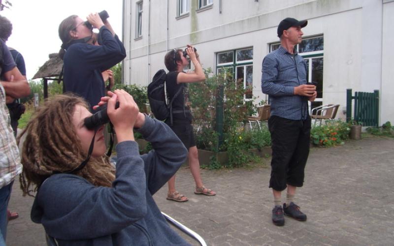 Bild