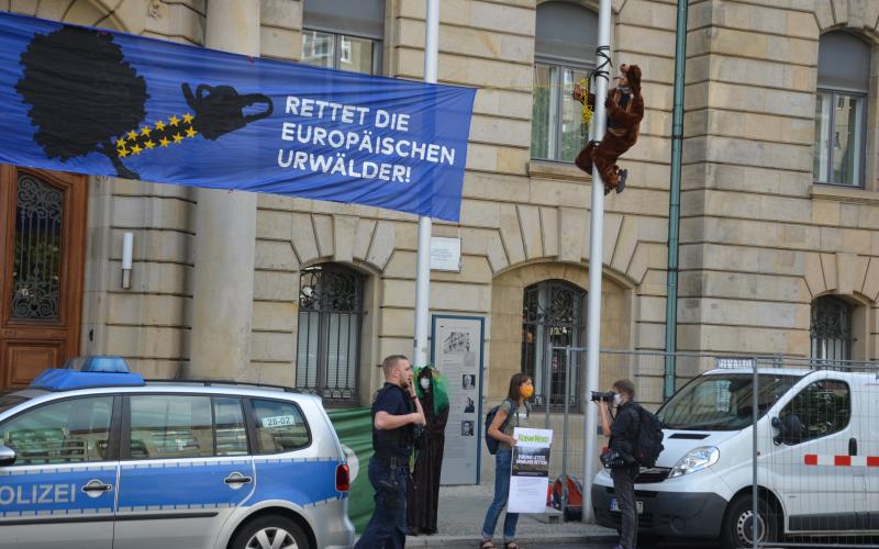 Bild