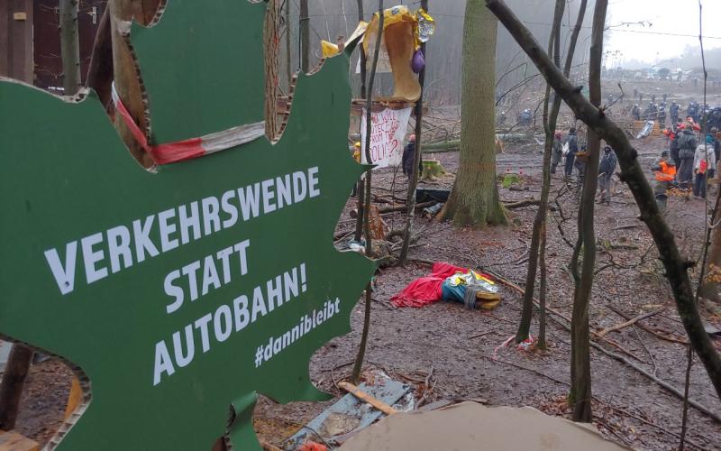 Bild