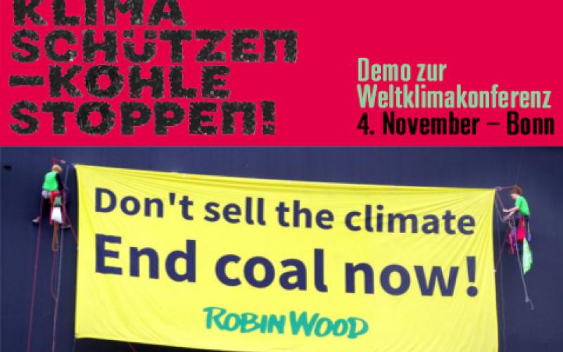 Foto: ROBIN WOOD (Montage von Demo-Plakat und Aktionsfoto)
