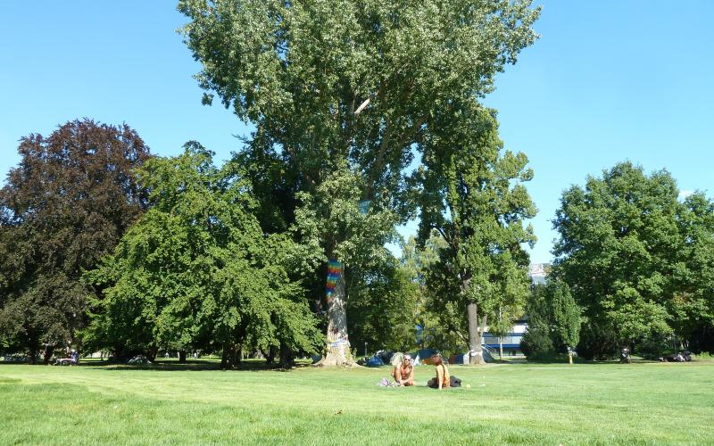 Bild