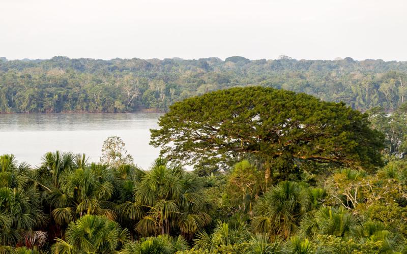 Yasuní-Nationalpark