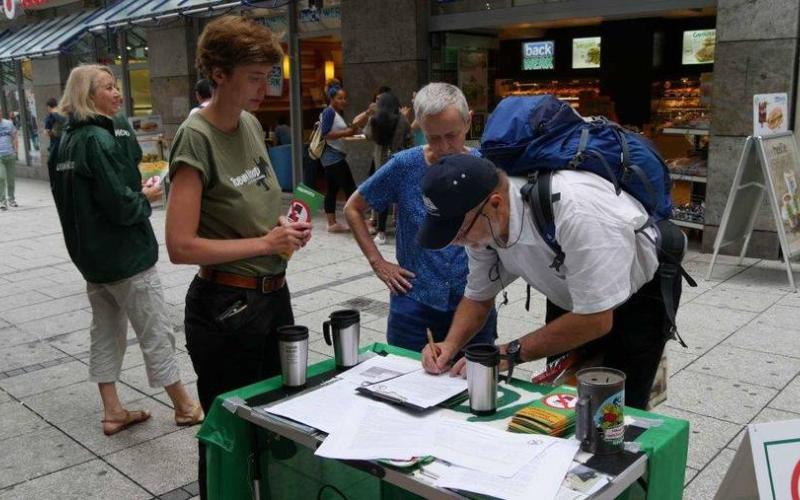 Bild
