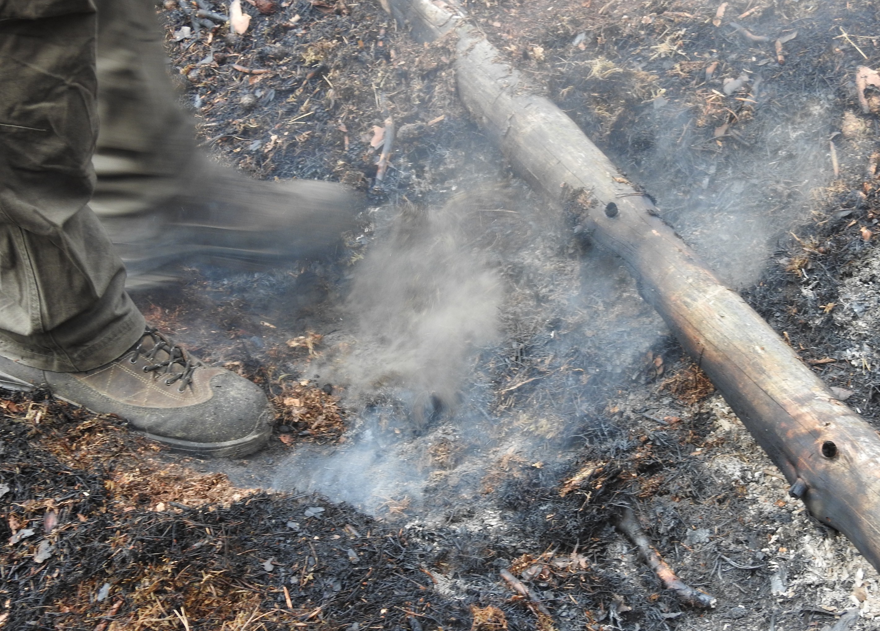 Waldboden mit qualmendem Feuer